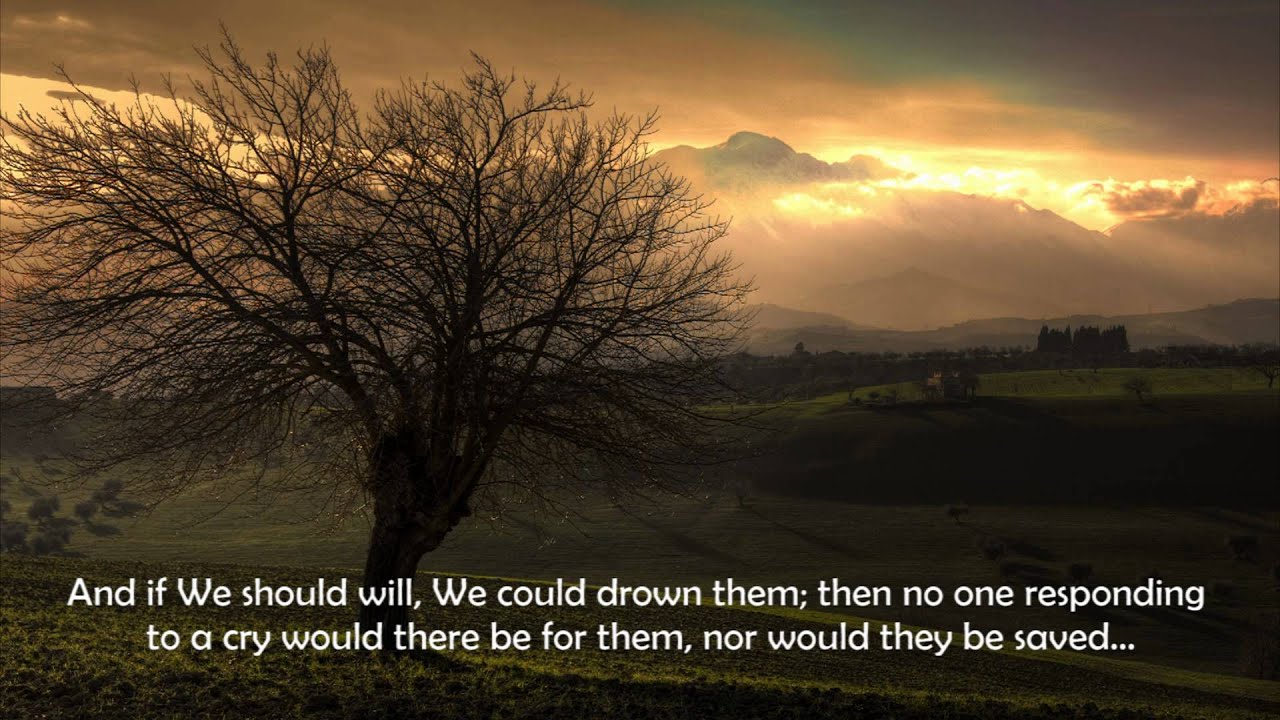 Surah Ya-Seen (Muhammad Al-Luhaidan)